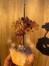 Load image into Gallery viewer, Bonsai Tree w/Angel Aura Base