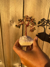 Load image into Gallery viewer, Bonsai Tree w/Angel Aura Base