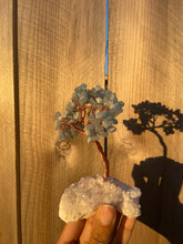 Load image into Gallery viewer, Bonsai Tree w/Angel Aura Base