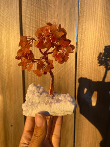 Bonsai Tree w/Angel Aura Base