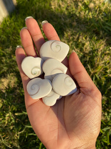 Shiva Eye Shell