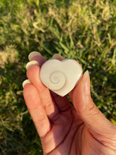 Load image into Gallery viewer, Shiva Eye Shell
