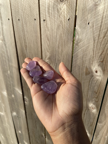 Tumbled Amethyst Crystal Earth Toned 